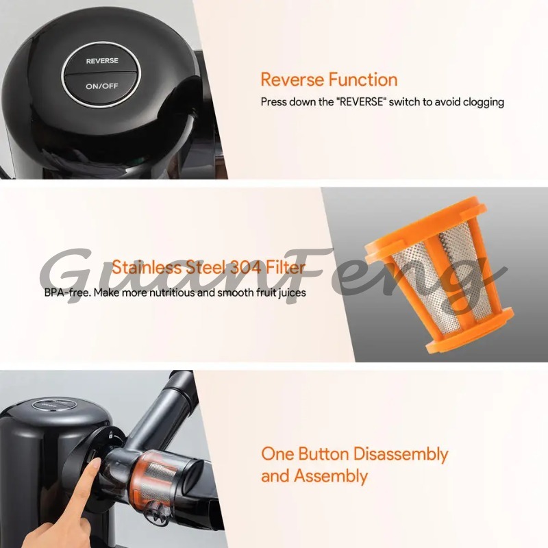 Cold Press Slow Juicer Electri - Juicer Cold Press Slow 评论和价格