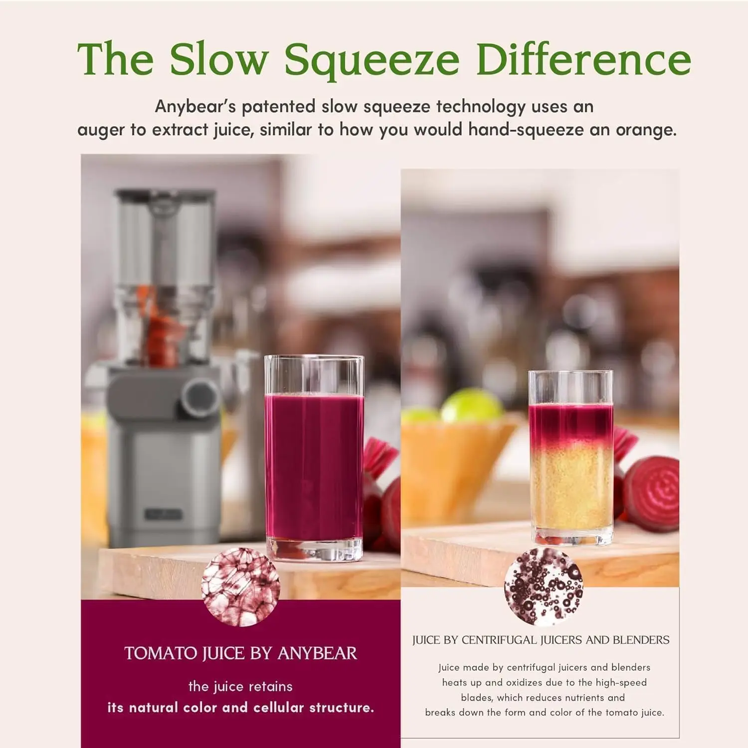 Bestseller200W Cold Press Juic - Juicer Cold Press Slow 评论和价格