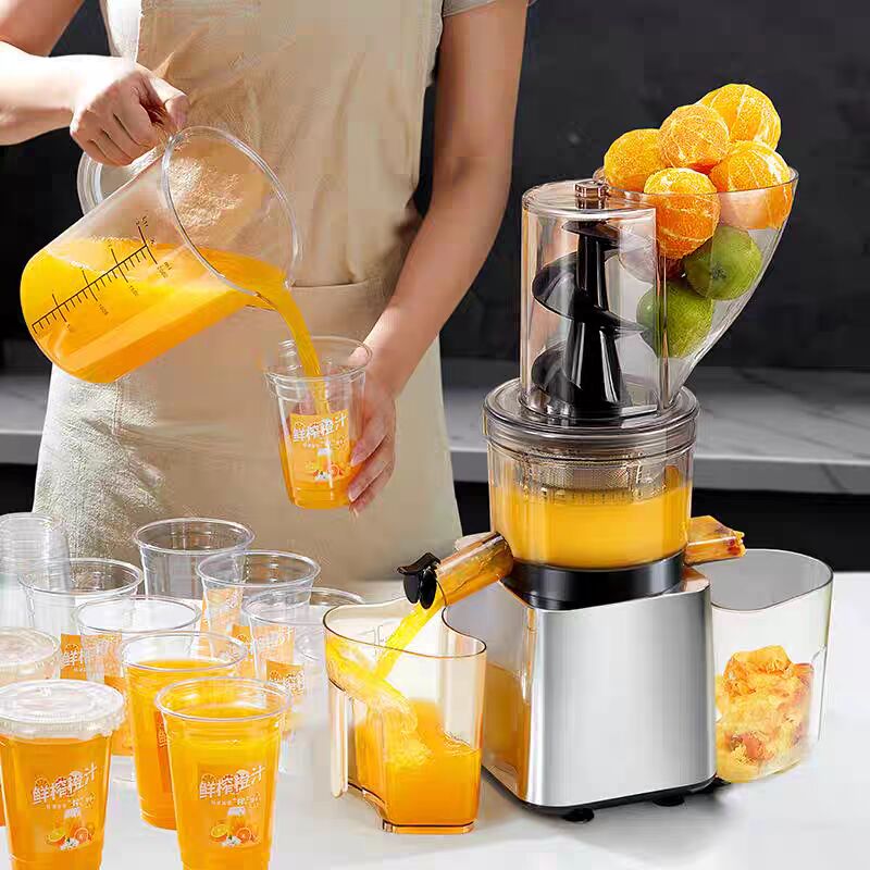 500W Hot Sale Silver Body Cold - Juicer Cold Press Slow 评论和价格
