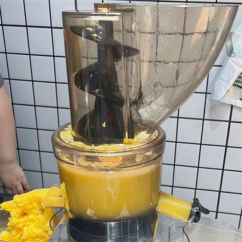 500W Commercial High Productiv - Juicer Cold Press Slow 评论和价格