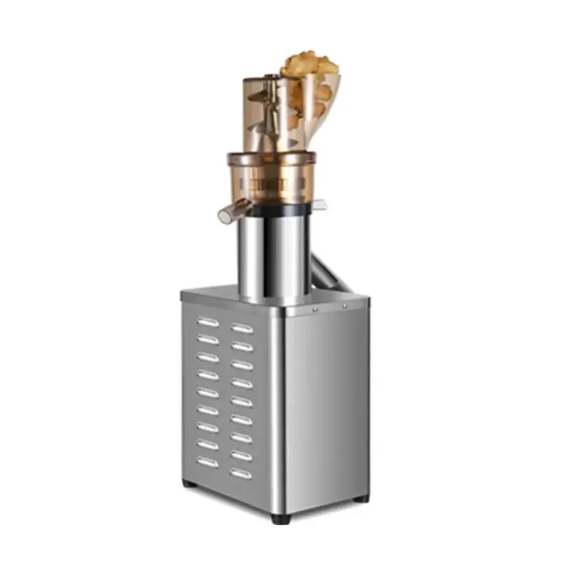 Professional Juicer Extractor  - Juicer Cold Press Slow 评论和价格