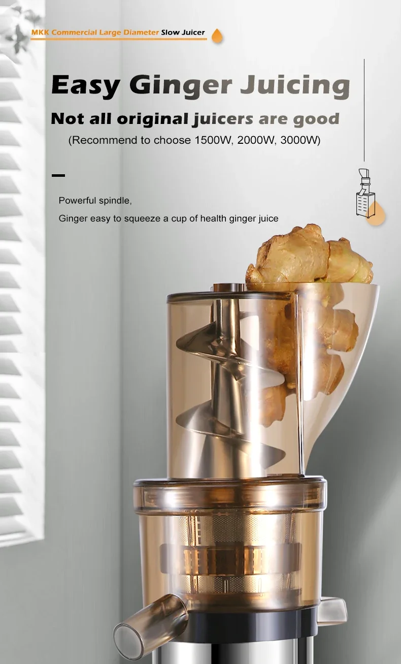 Professional Juicer Extractor  - Juicer Cold Press Slow 评论和价格