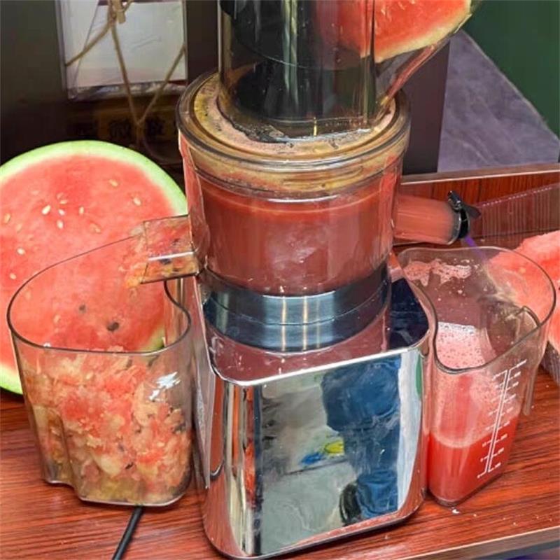 500W Commercial Use Home Use S - Juicer Cold Press Slow 评论和价格